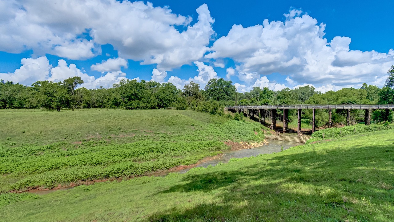 Photo of Outdoor in Texas Gulf Coast Region