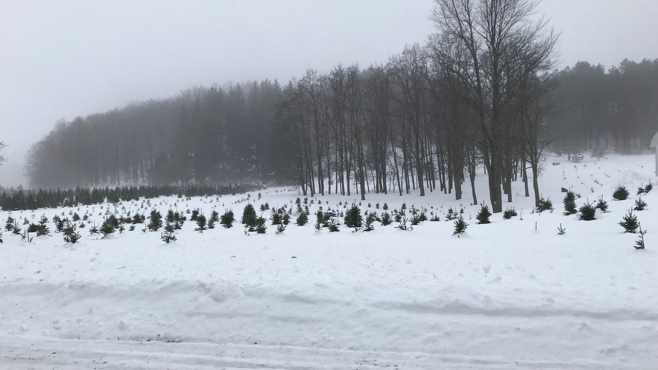 Photo of Others in Northeast Michigan