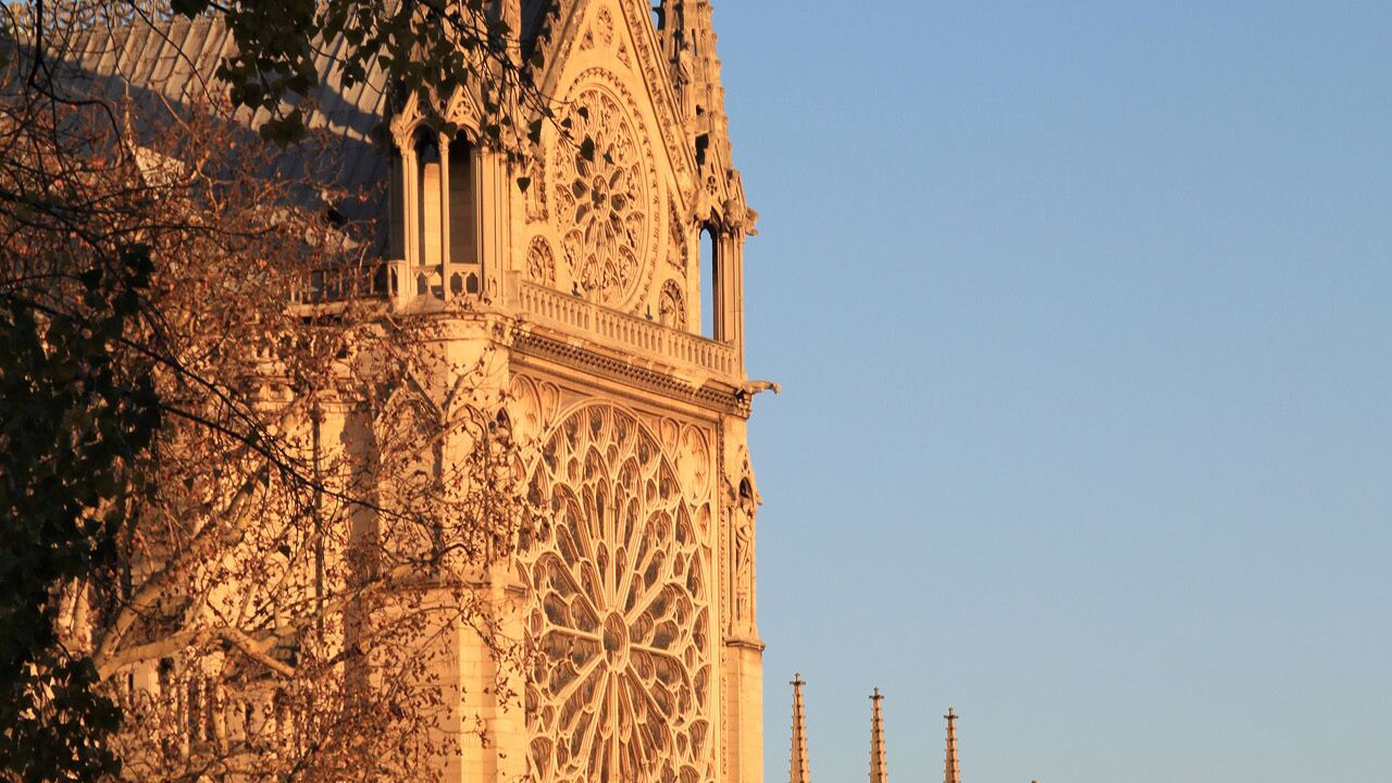 Photo of Others in Saint-Germain-des-Pres
