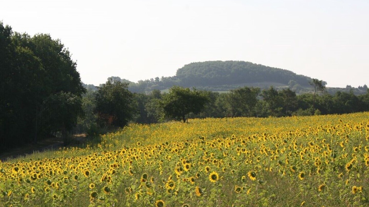 Photo of Outdoor in Montastruc