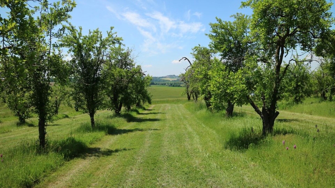 Photo of Others in Montastruc