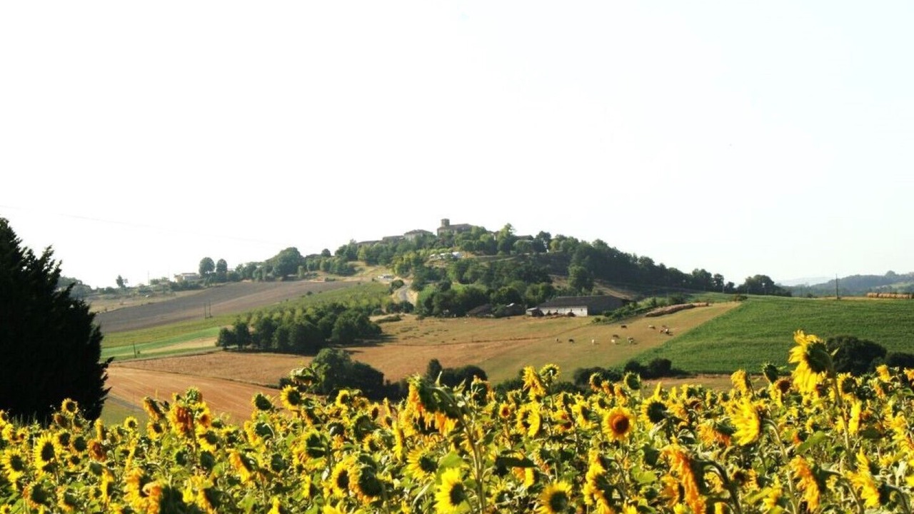 Photo of Others in Montastruc