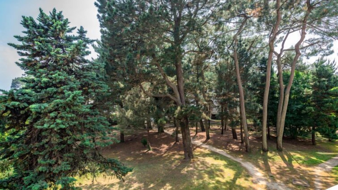 Photo of Others in Carnac