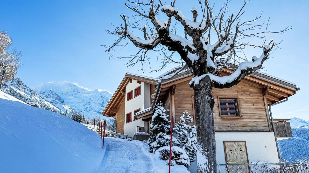 Photo of Others in Wengen