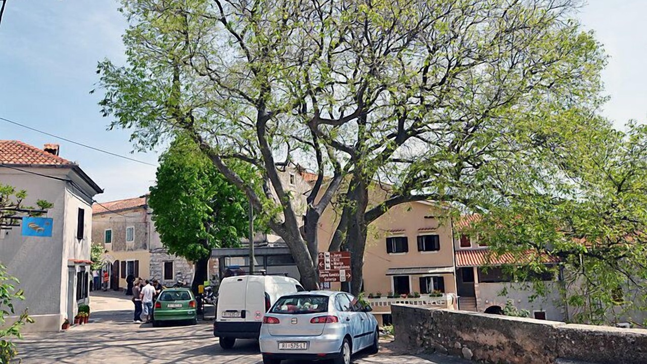 Photo of Outdoor in Brsec