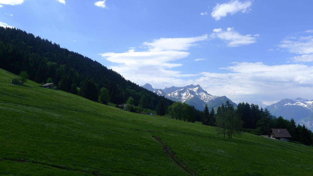 Photo of Others in Villars-sur-Ollon
