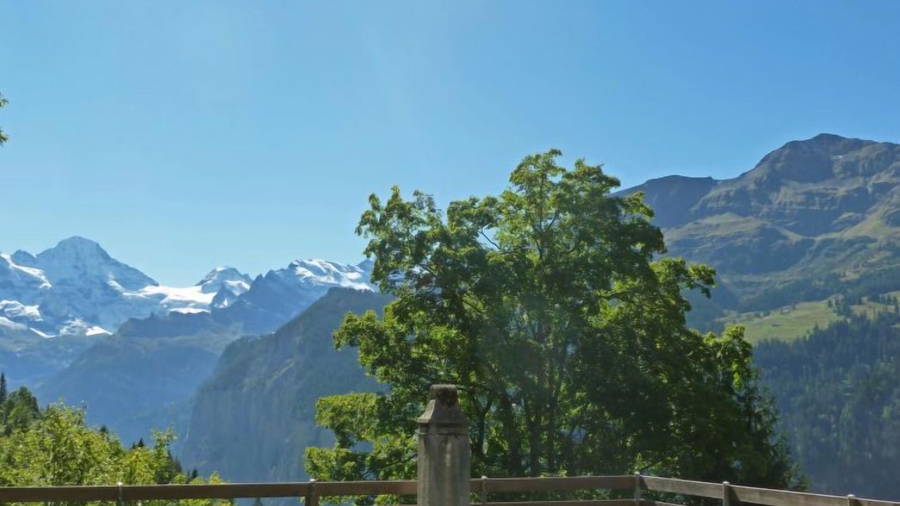Photo of Others in Wengen