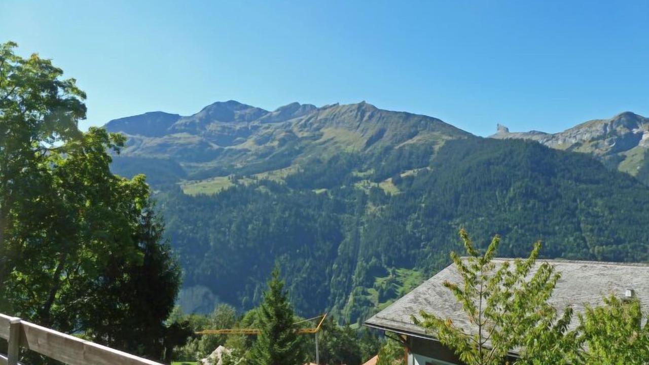 Photo of Others in Wengen