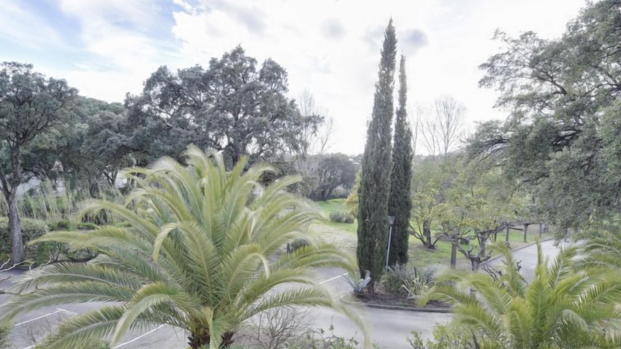 Photo of Others in Cavaliere