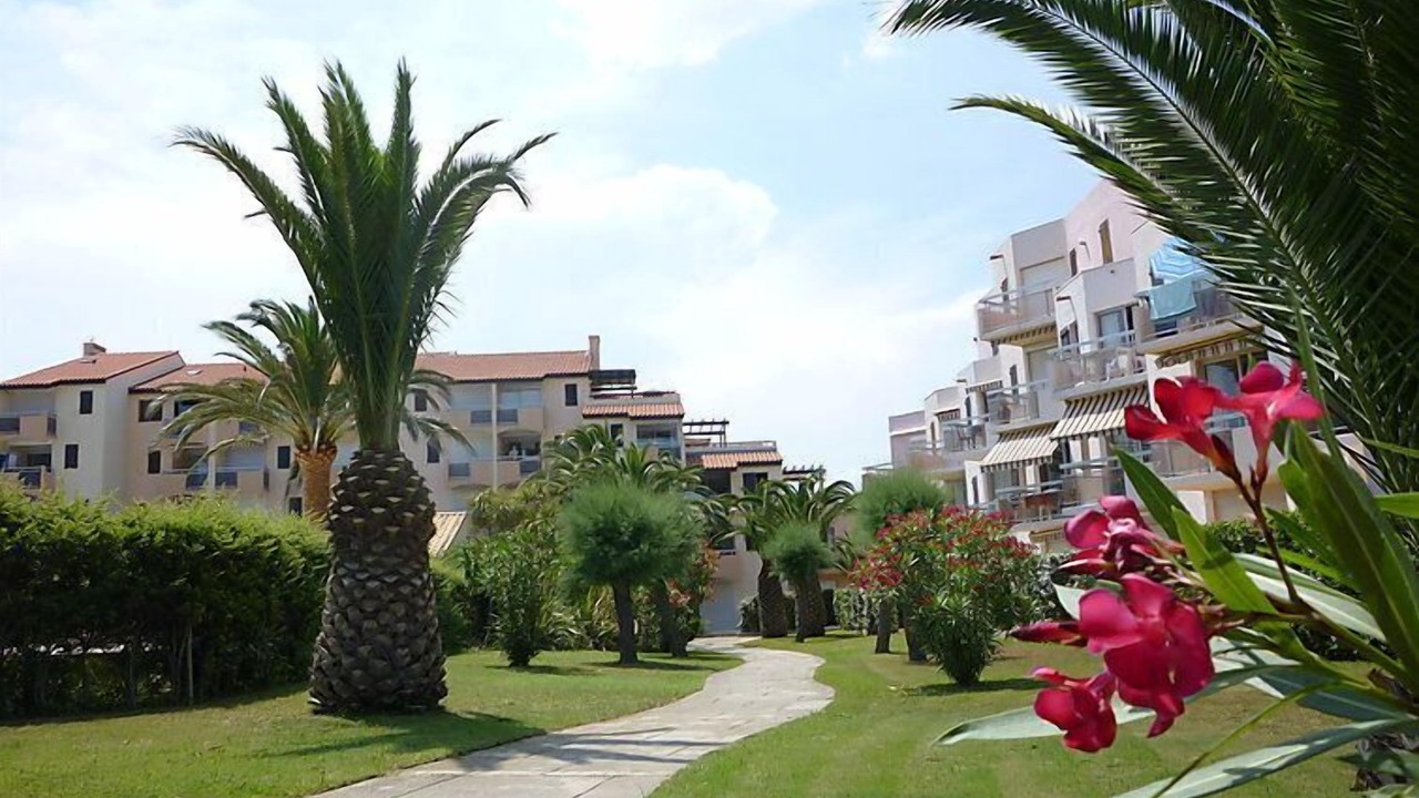 Photo of Others in Saint-Cyprien Plage