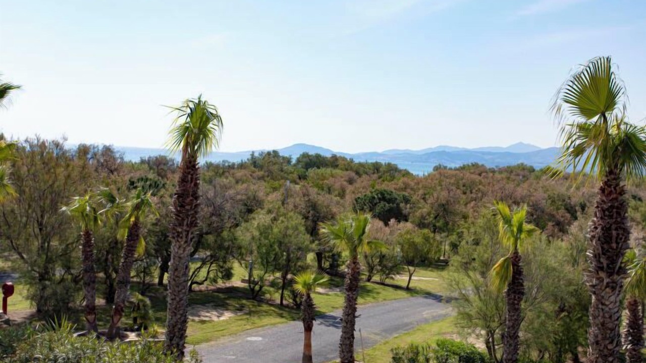 Photo of Others in Saint-Cyprien Plage