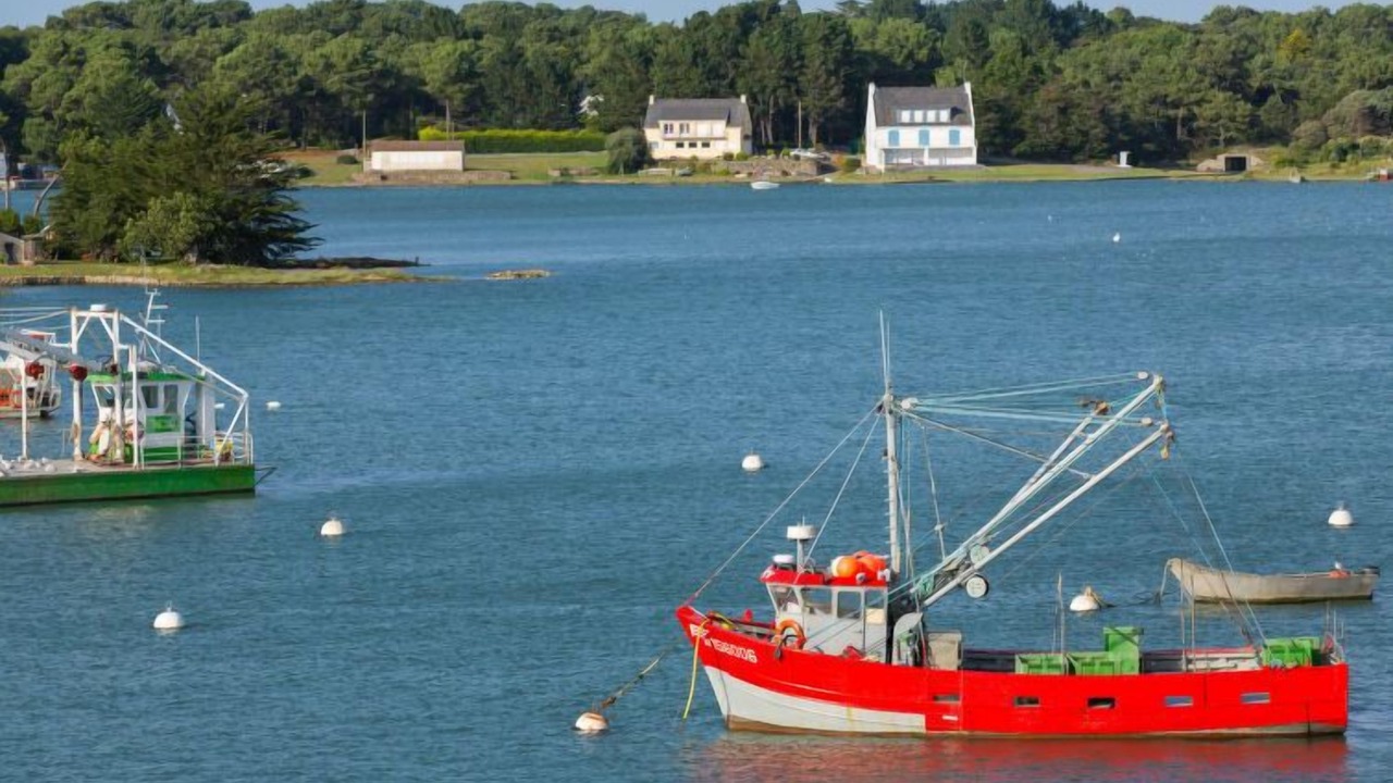 Photo of Others in La Trinite-sur-Mer