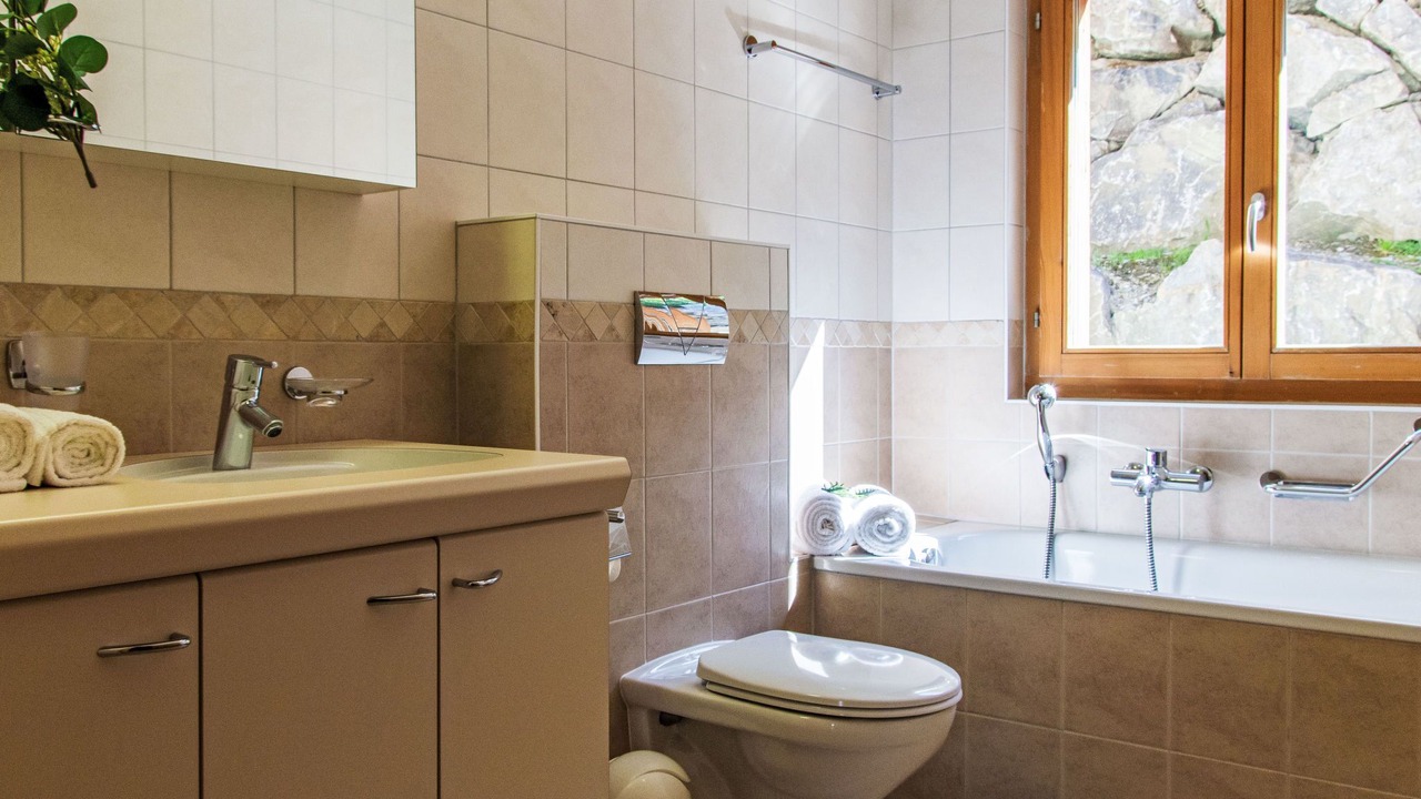 Photo of Bathroom in Nendaz