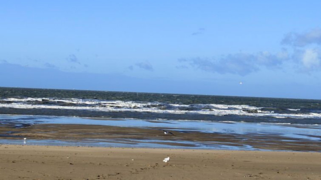 Photo of Others in Blonville-sur-Mer
