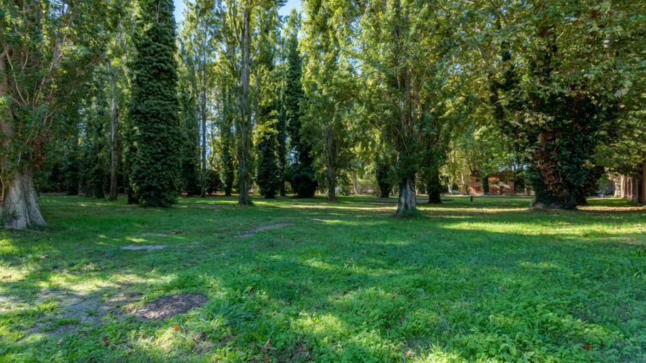 Photo of Outdoor in Saint-Cyprien Plage