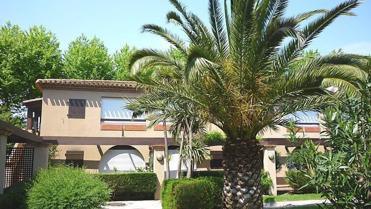 Photo of Others in Saint-Cyprien Plage