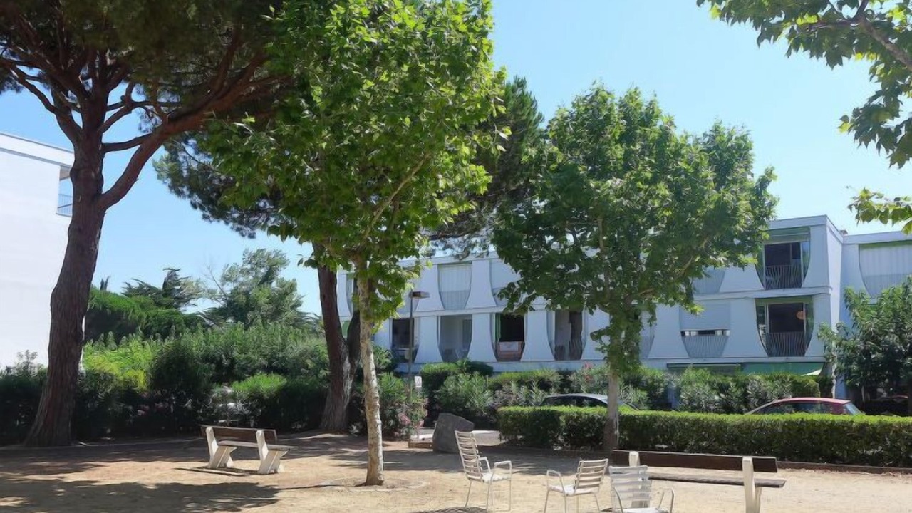 Photo of Others in La Petite Motte