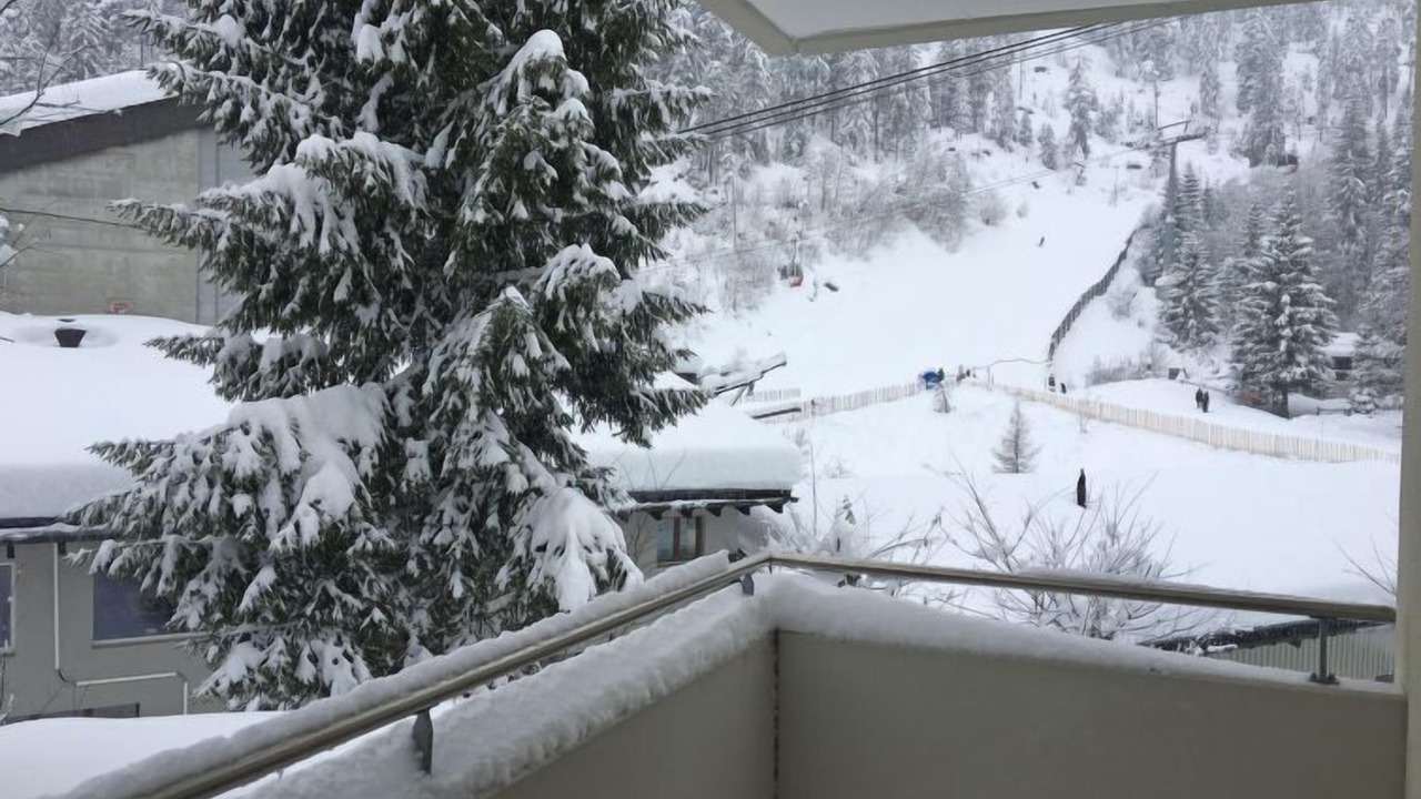 Photo of Others in Laax