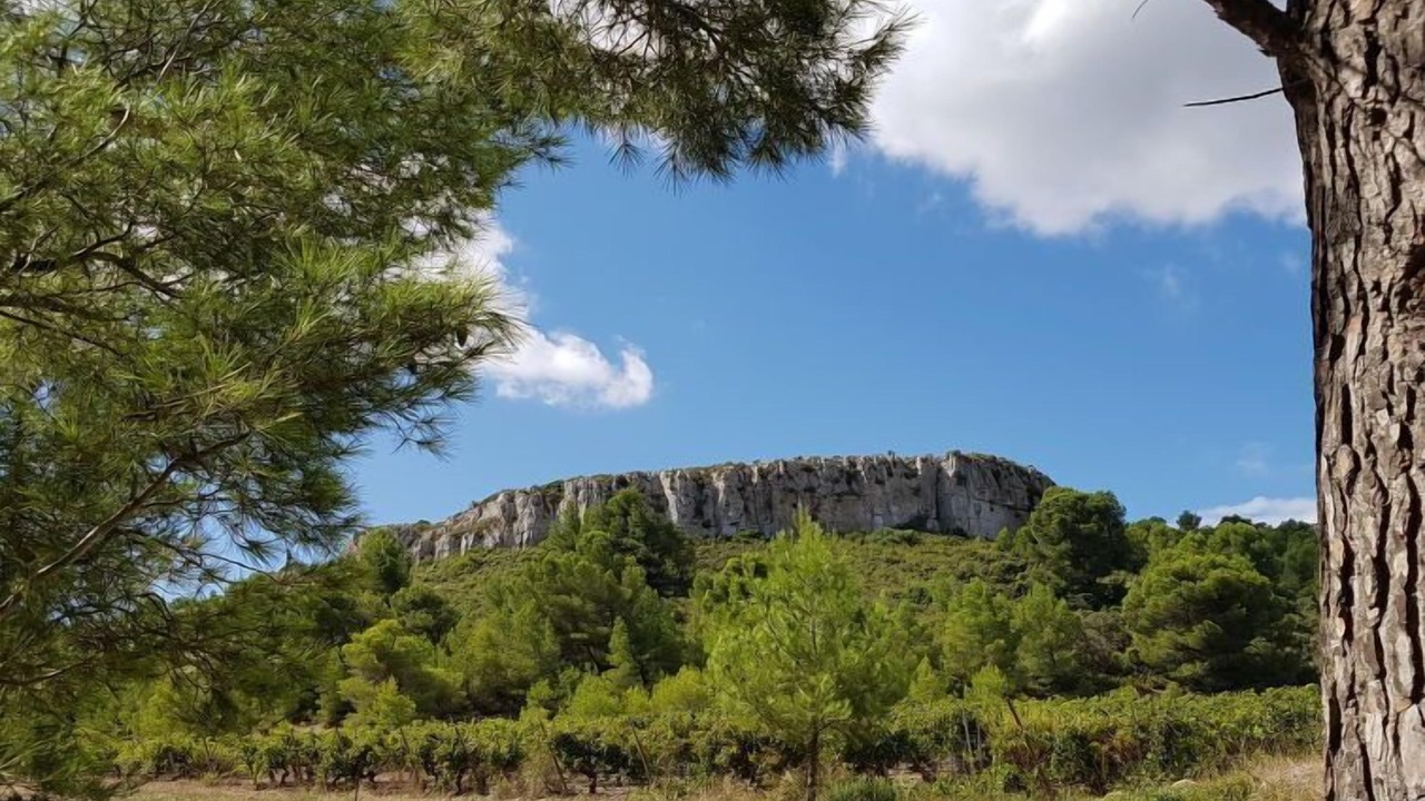 Photo of Others in Narbonne-Plage