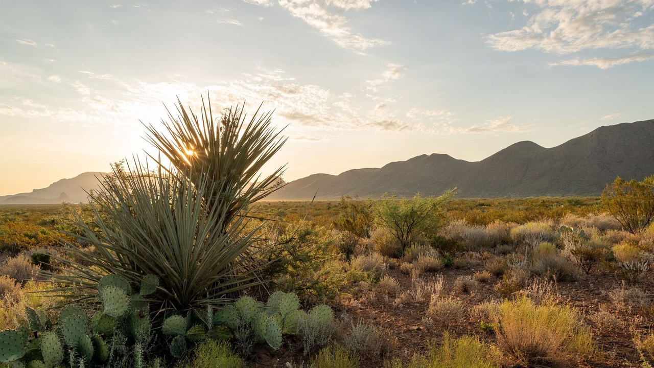 Photo of Outdoor in Brewster County
