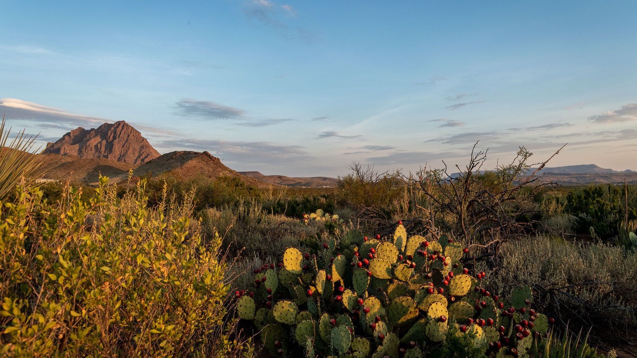 Photo of Outdoor in Brewster County