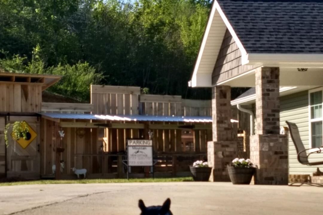 Photo of Others in Trenton