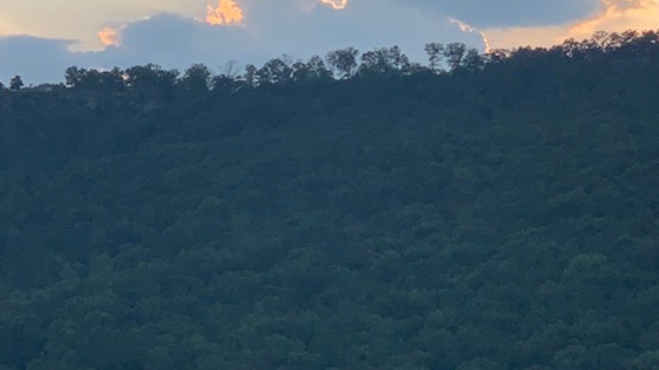 Photo of Others in Trenton