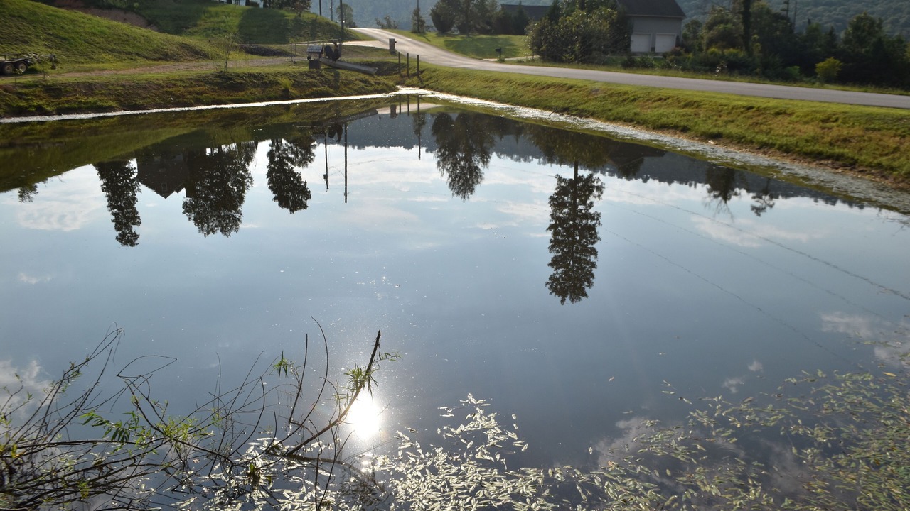 Photo of Outdoor in Trenton