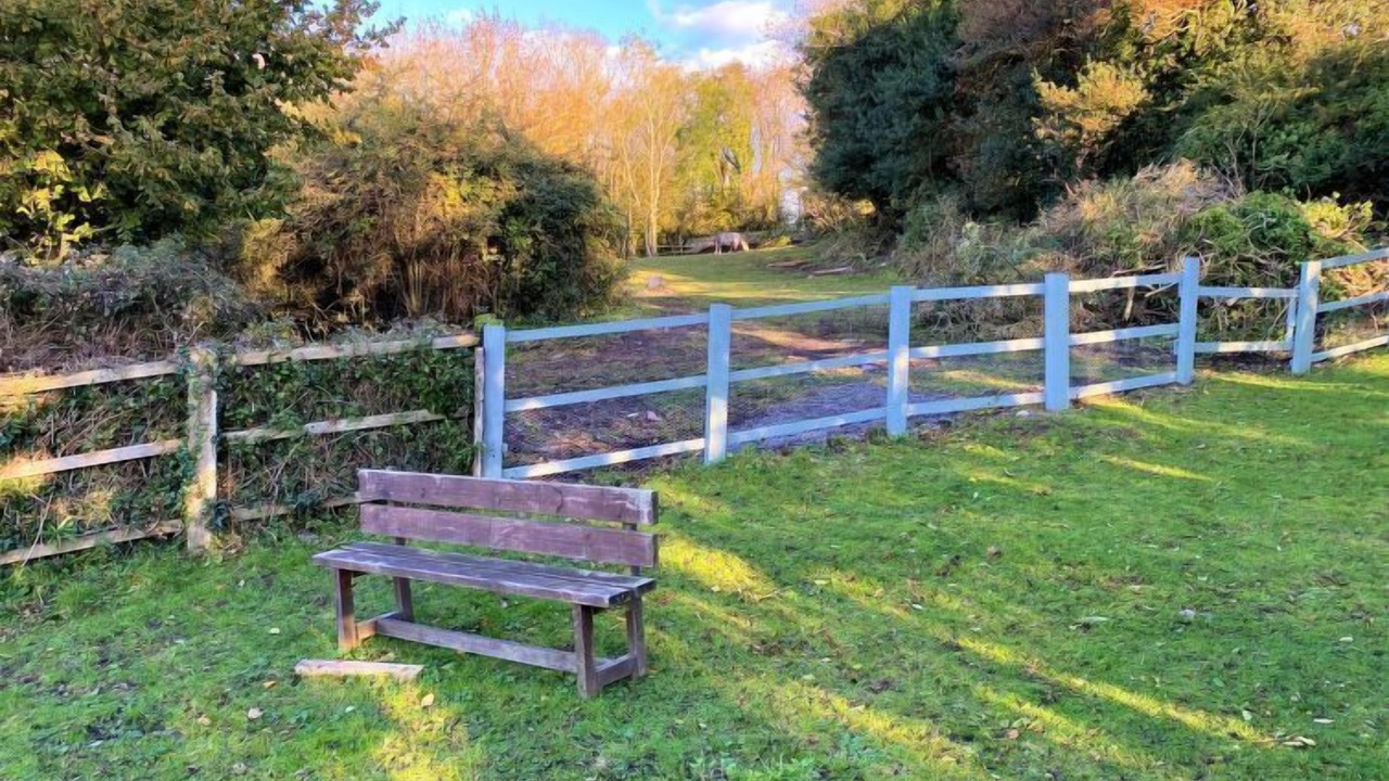 Photo of Outdoor in West Quantoxhead