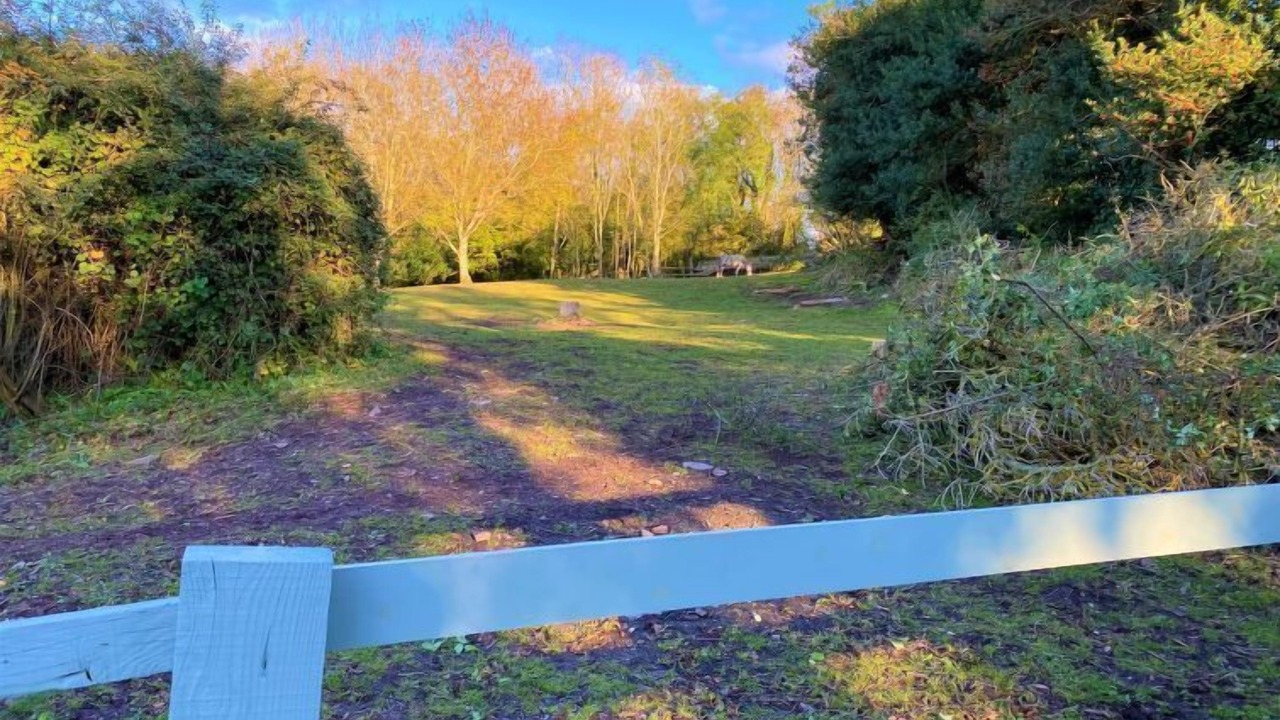 Photo of Outdoor in West Quantoxhead