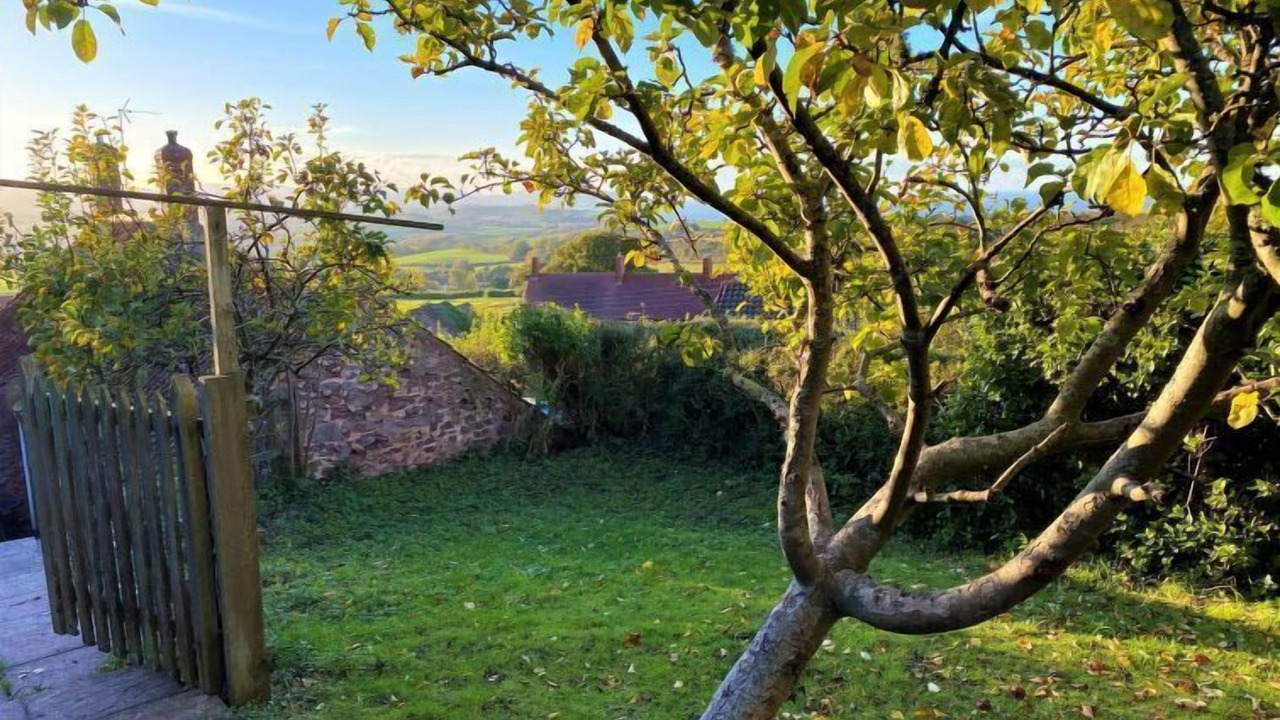 Photo of Outdoor in West Quantoxhead