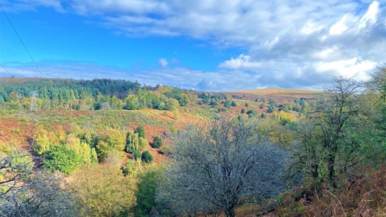 Photo of Others in West Quantoxhead