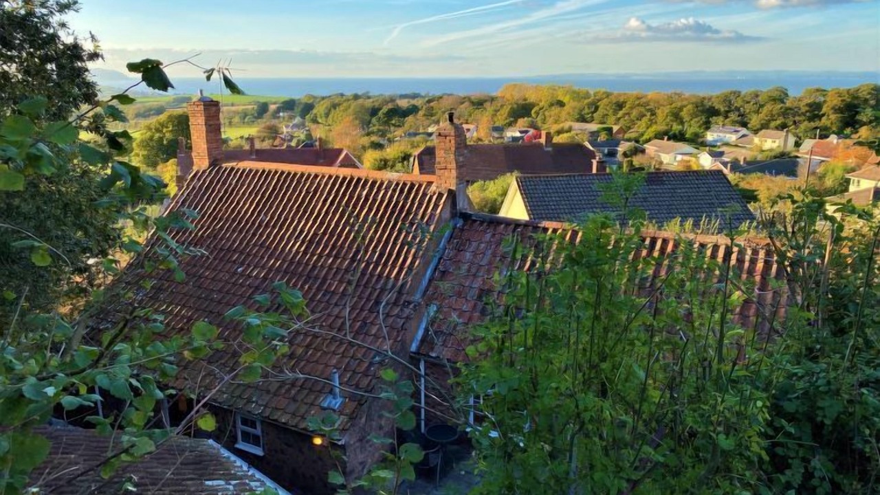 Photo of Others in West Quantoxhead