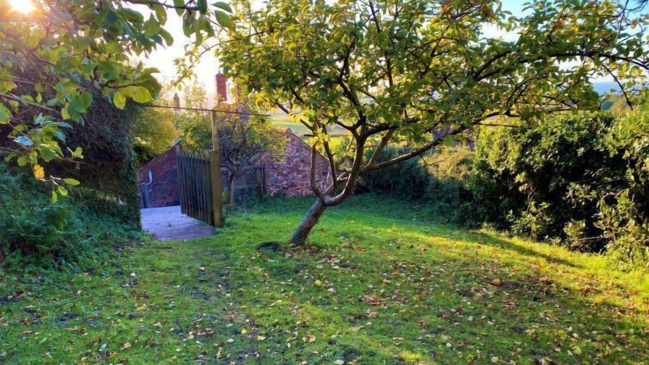 Photo of Outdoor in West Quantoxhead