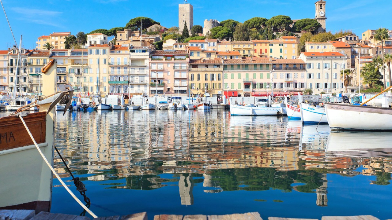 Photo of Others in Cannes