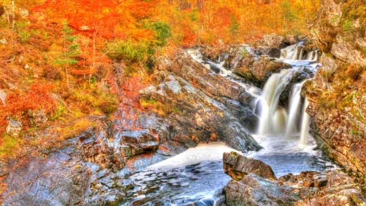 Photo of Others in Contin