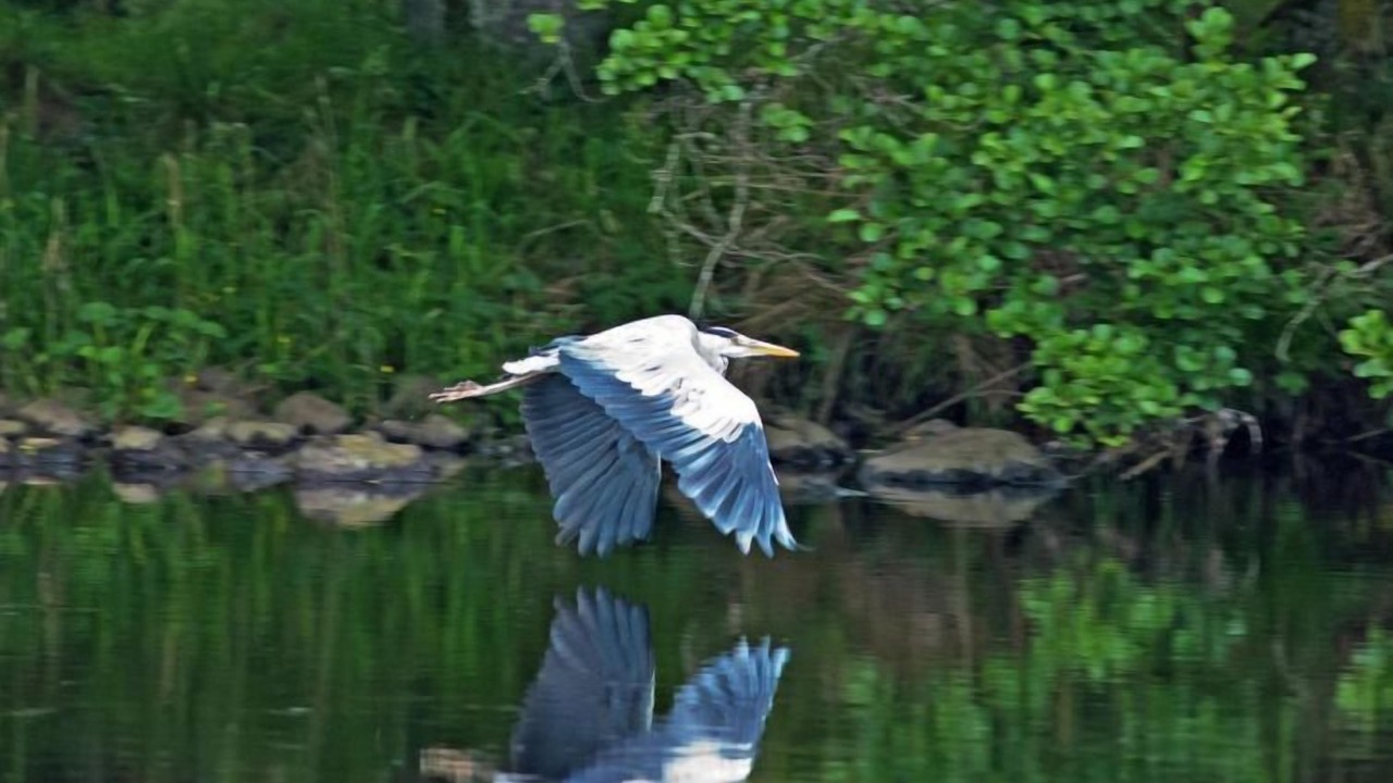 Photo of Others in Contin