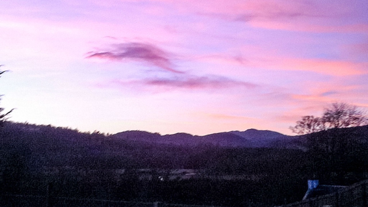 Photo of Others in Contin