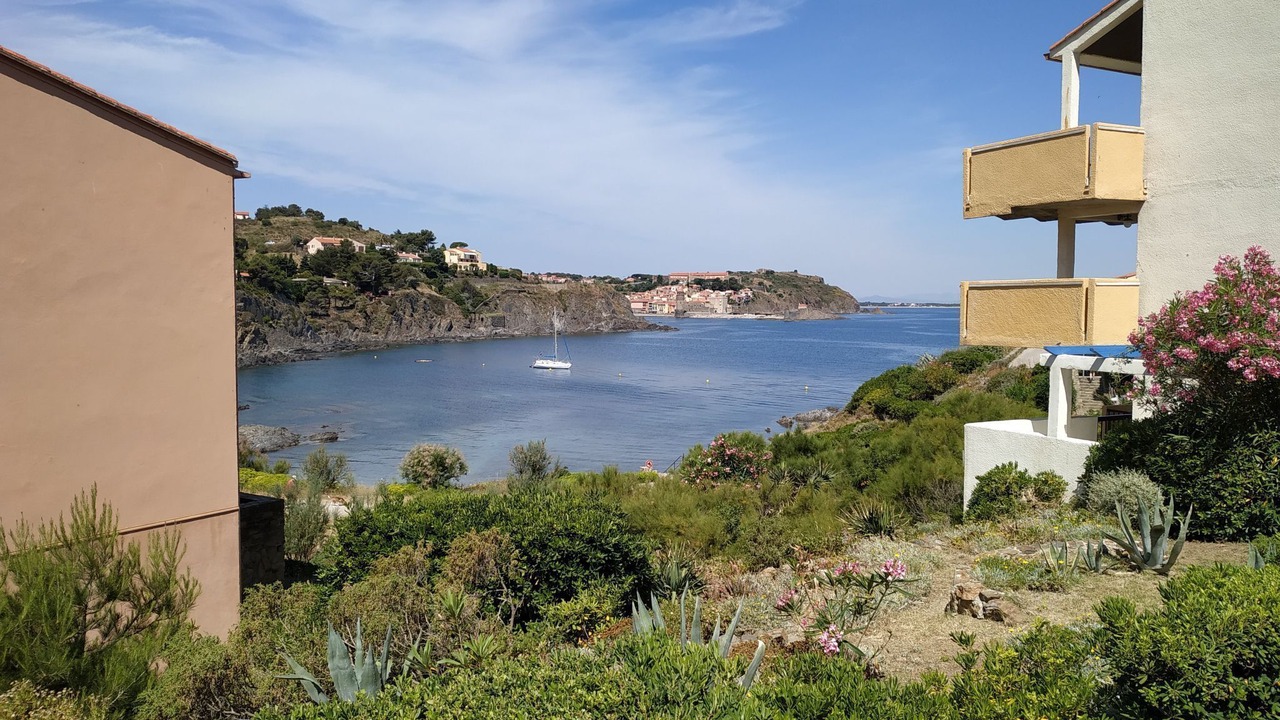 Photo of Others in Collioure