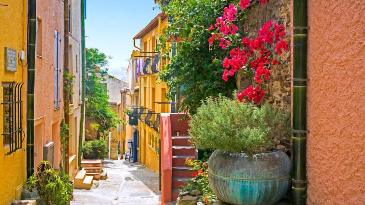 Photo of Others in Collioure