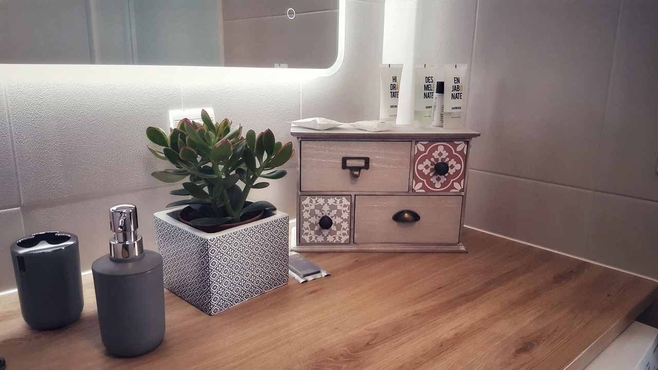 Photo of Bathroom in Montevrain