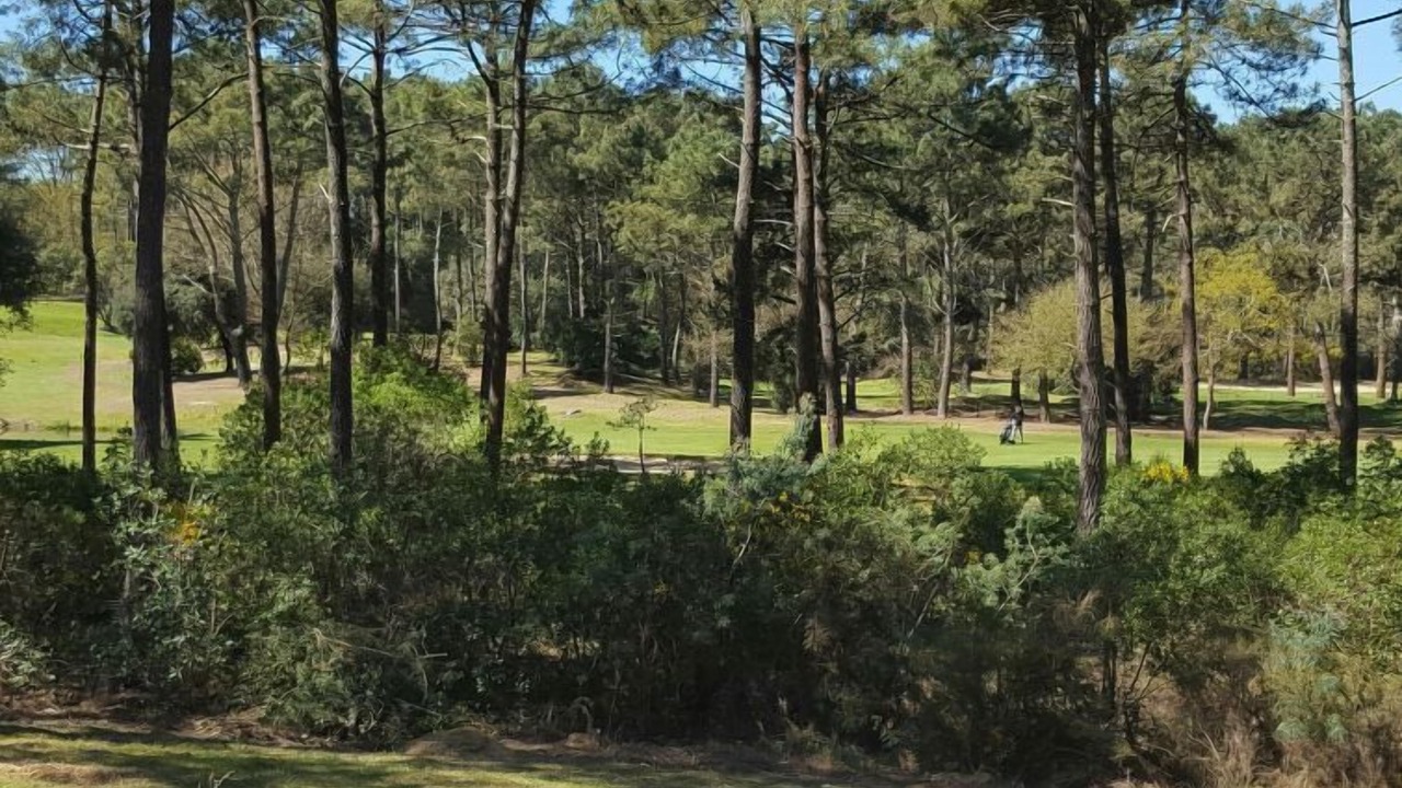 Photo of Outdoor in Lacanau-Ocean