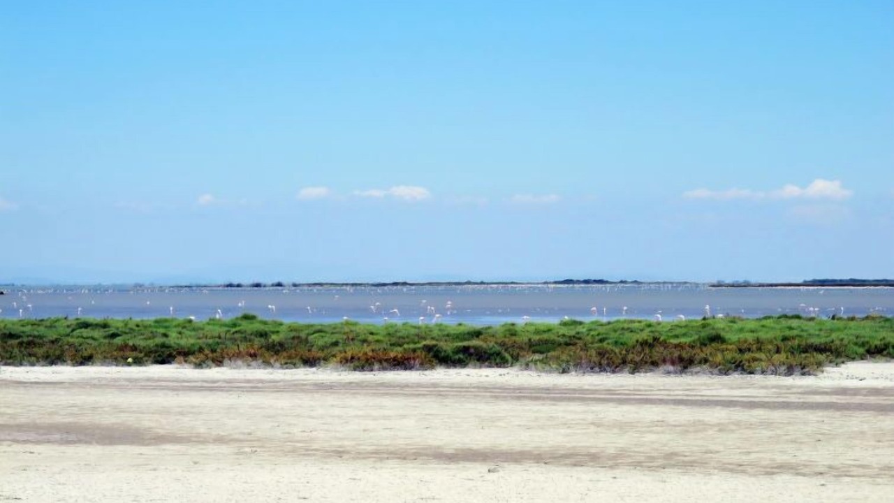 Photo of Others in Le Grau-Du-Roi