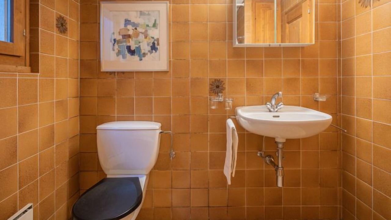 Photo of Bathroom in Ovronnaz