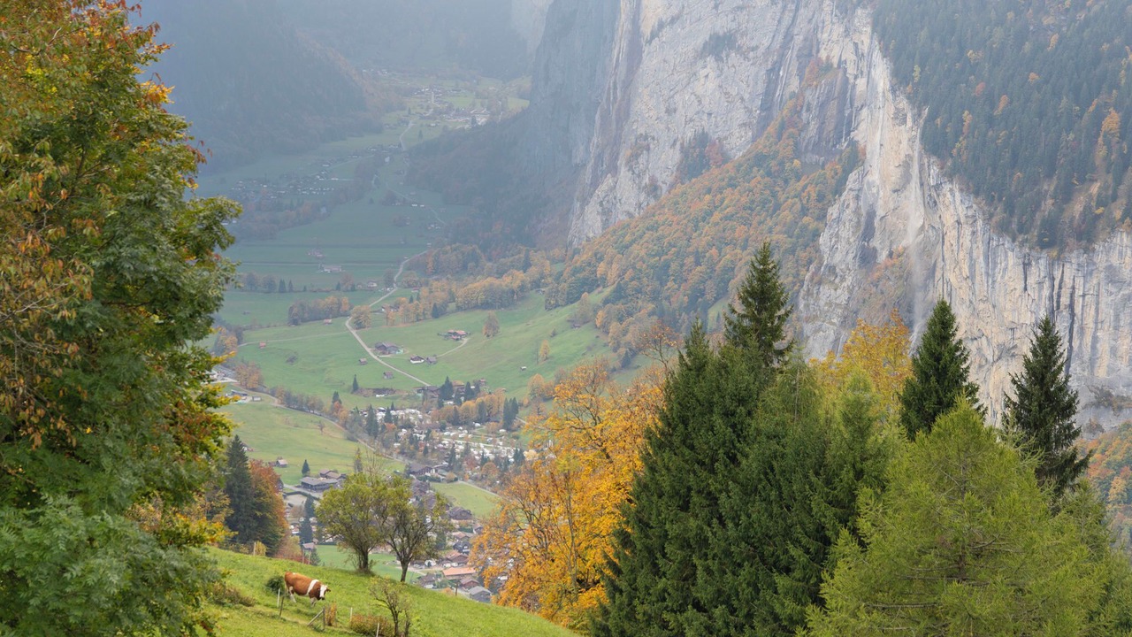 Photo of Others in Wengen
