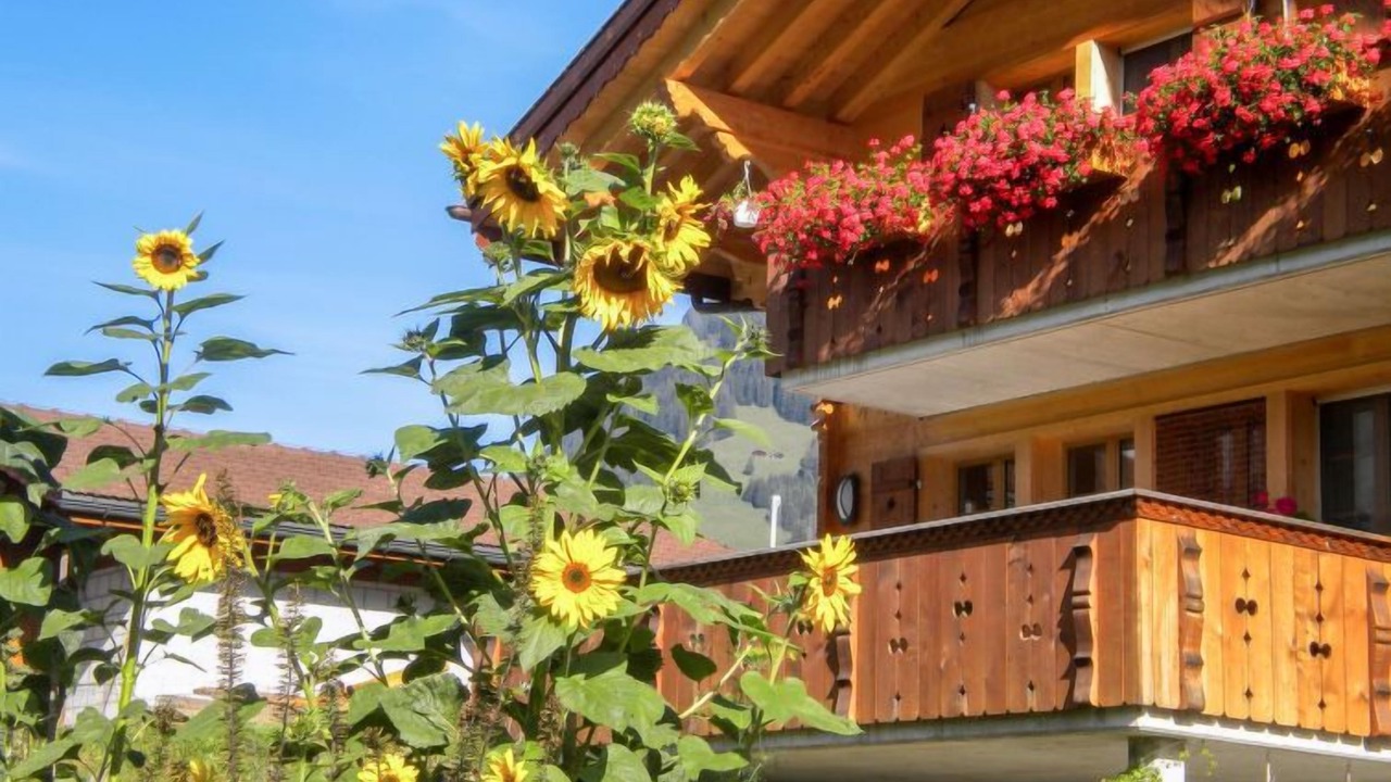 Photo of Outdoor in Grindelwald