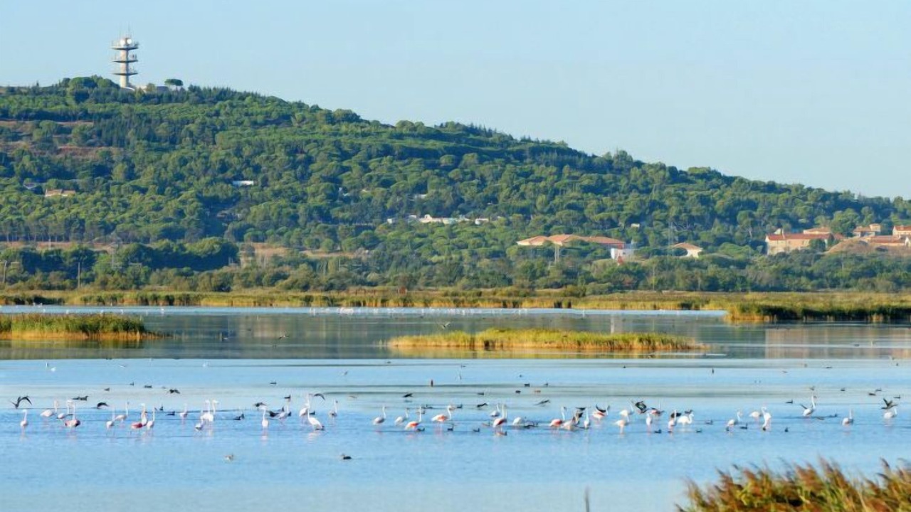 Photo of Others in Cap d'Agde