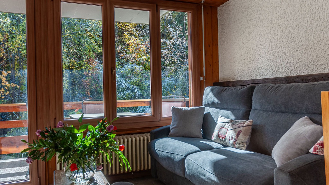 Photo of Livingroom in Saint-Pierre-de-Clages