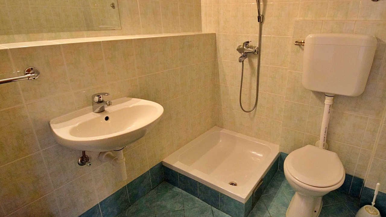 Photo of Bathroom in Stankovici