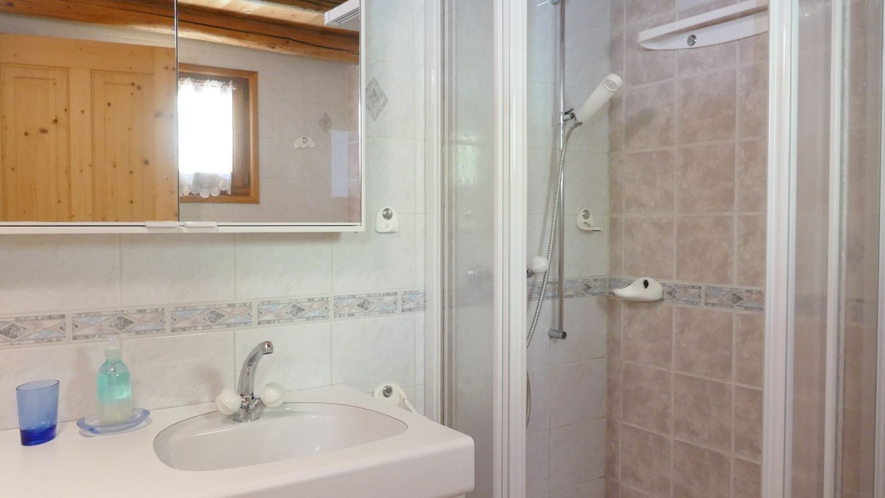 Photo of Bathroom in Malvaglia